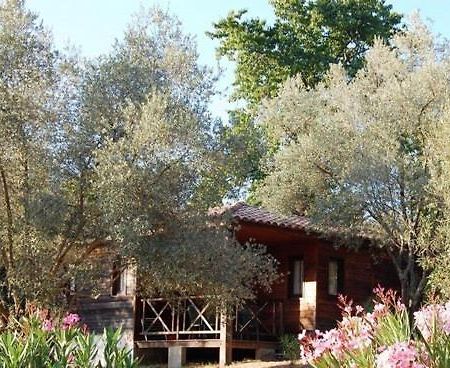 Gites Chalets De Grosseto-Prugna Εξωτερικό φωτογραφία
