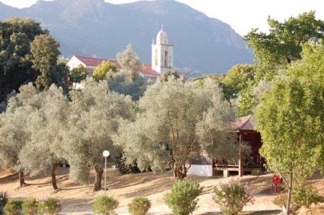 Gites Chalets De Grosseto-Prugna Εξωτερικό φωτογραφία