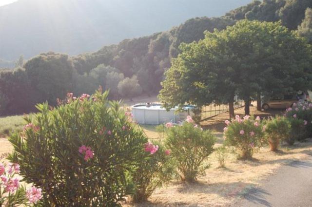 Gites Chalets De Grosseto-Prugna Εξωτερικό φωτογραφία
