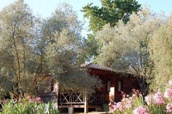 Gites Chalets De Grosseto-Prugna Εξωτερικό φωτογραφία