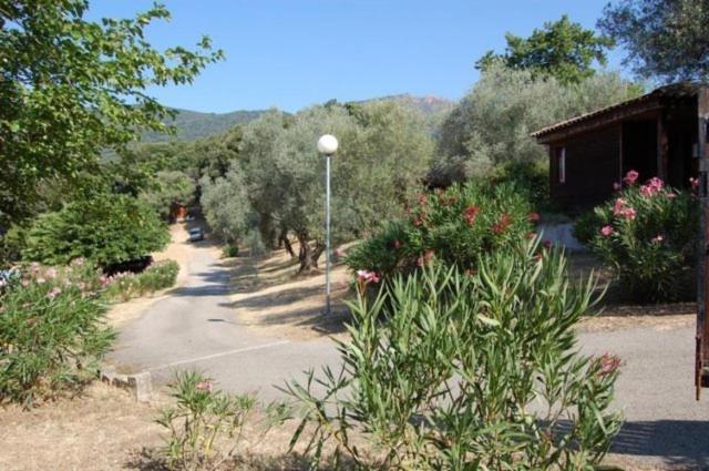 Gites Chalets De Grosseto-Prugna Εξωτερικό φωτογραφία